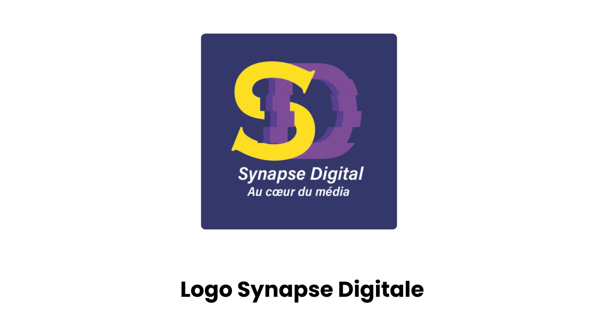 Synapse Digitale – Charte graphique - image 1
