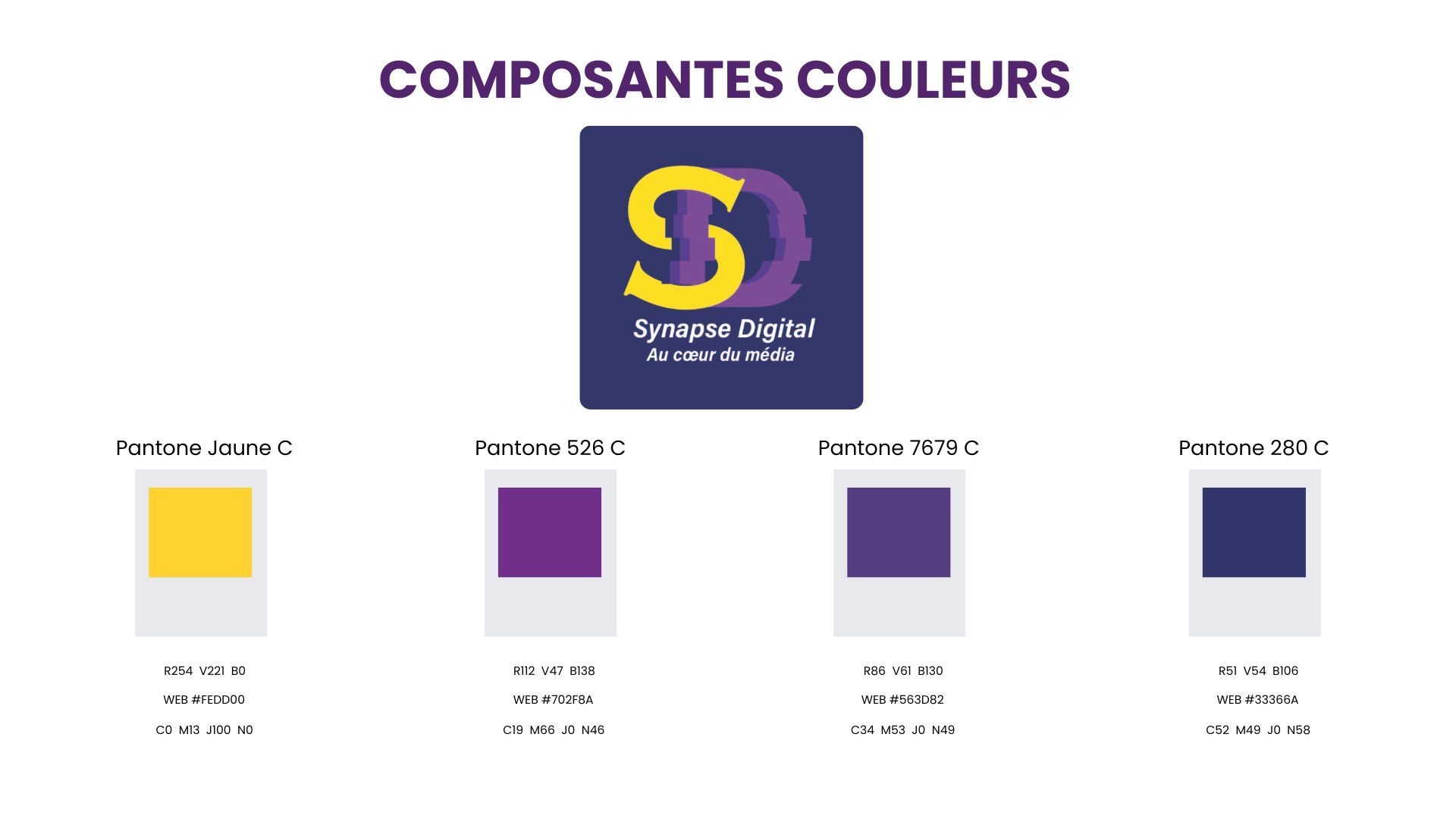 Synapse Digitale – Charte graphique - image 3