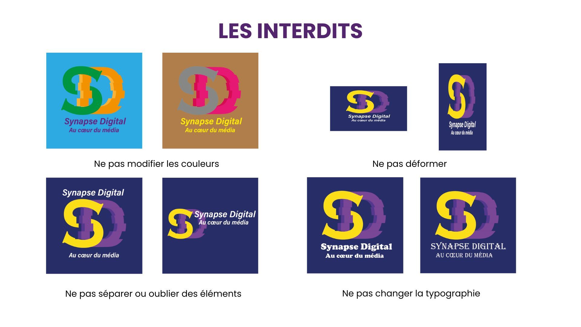 Synapse Digitale – Charte graphique - image 4