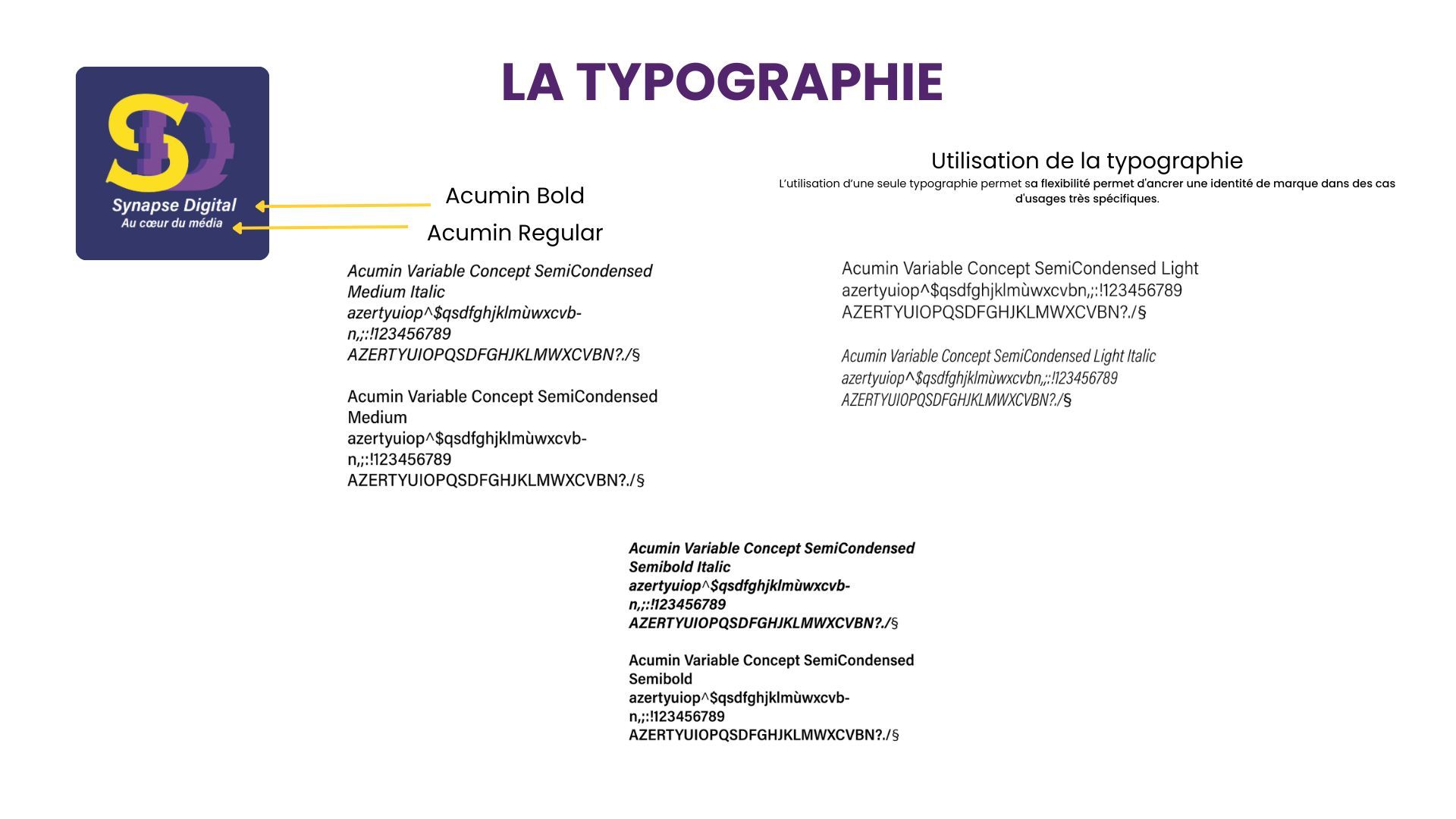 Synapse Digitale – Charte graphique - image 5