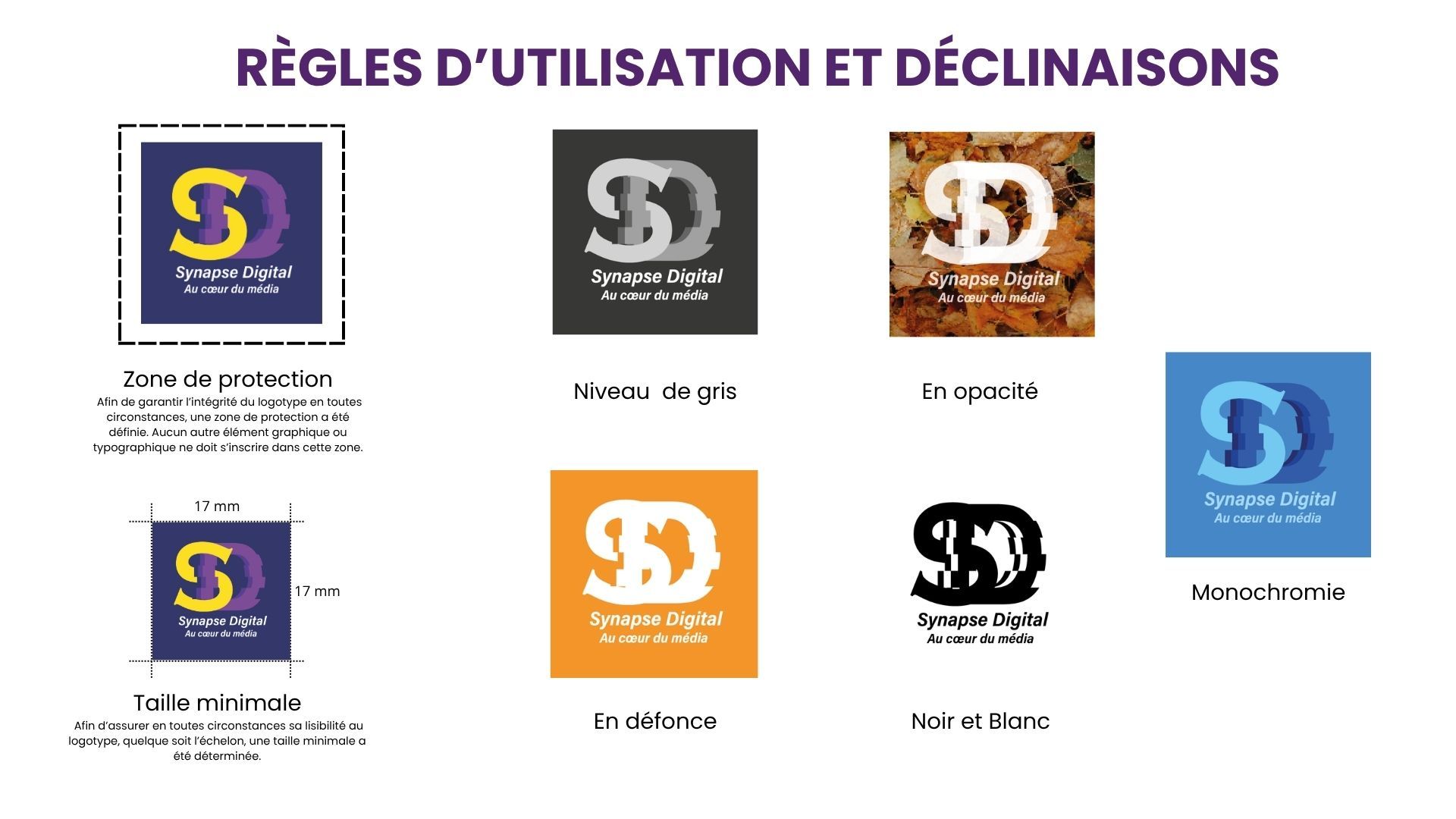 Synapse Digitale – Charte graphique - image 6